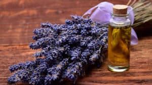 Spells and Charms: Infusing Lavender into Everyday Magic